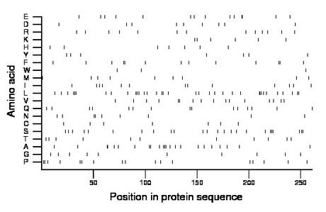 amino acid map