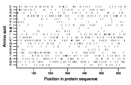 amino acid map