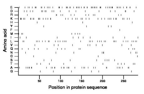 amino acid map