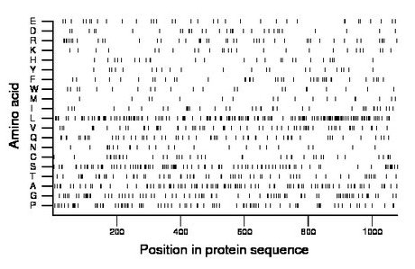 amino acid map