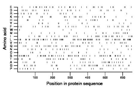 amino acid map