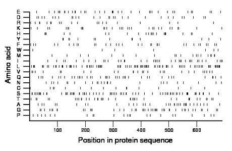 amino acid map