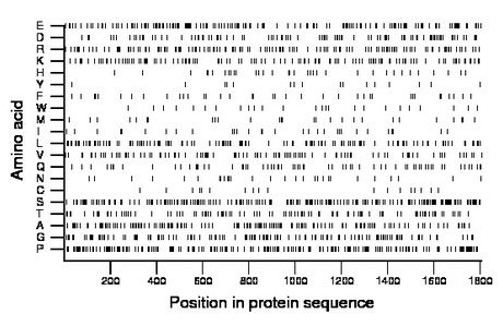 amino acid map