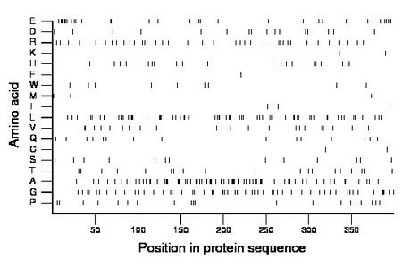 amino acid map