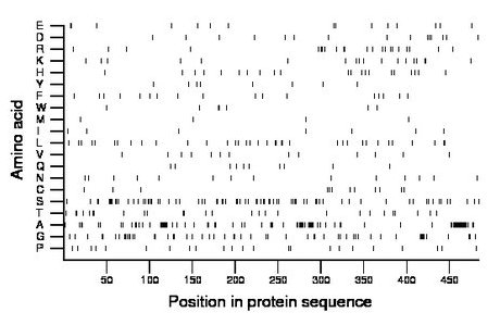 amino acid map