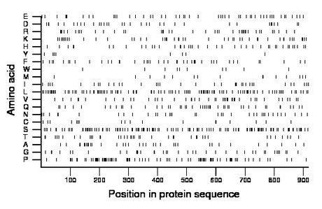 amino acid map