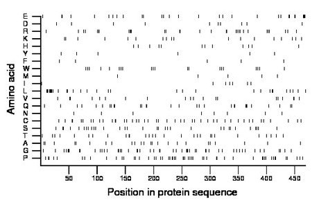 amino acid map