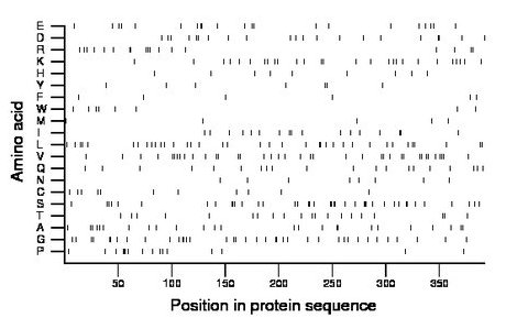 amino acid map