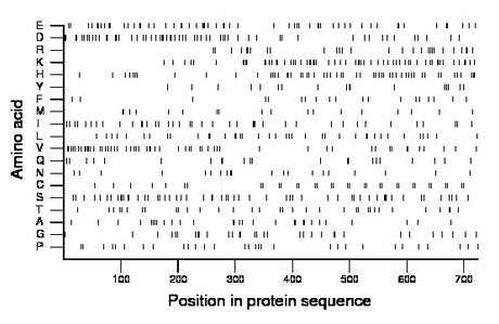 amino acid map