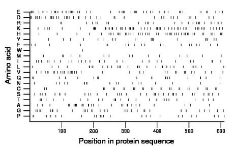 amino acid map