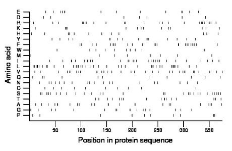 amino acid map