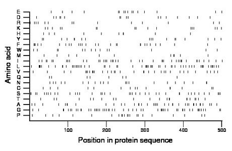 amino acid map