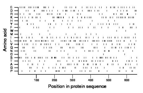 amino acid map