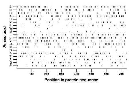 amino acid map