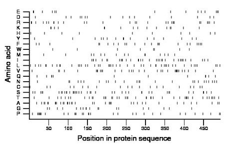 amino acid map