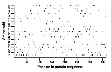 amino acid map