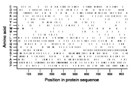 amino acid map