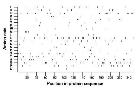 amino acid map