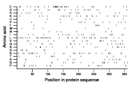 amino acid map