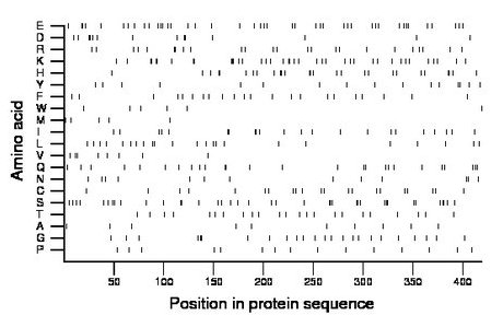 amino acid map