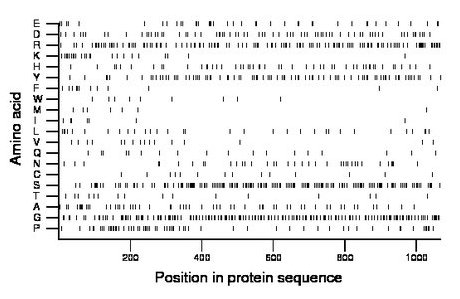 amino acid map