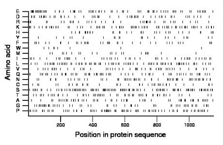 amino acid map