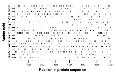 amino acid map