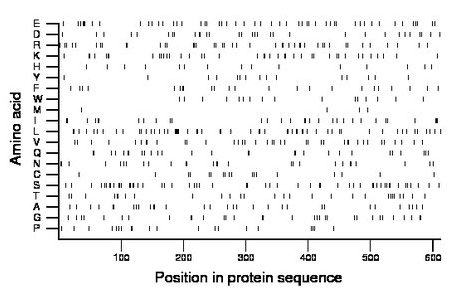 amino acid map