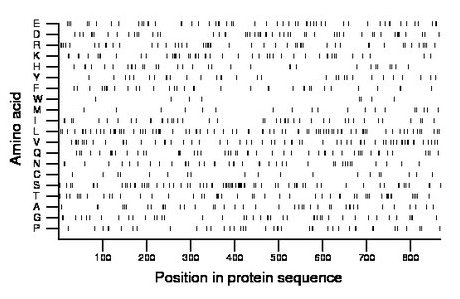 amino acid map