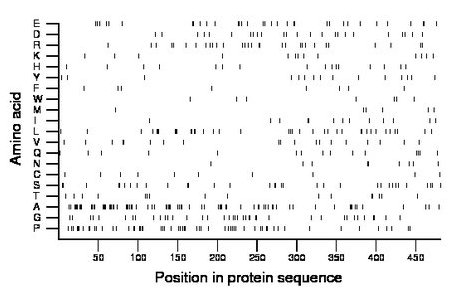 amino acid map