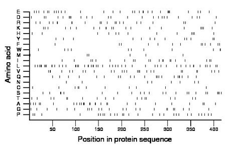 amino acid map