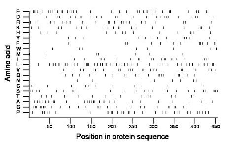 amino acid map