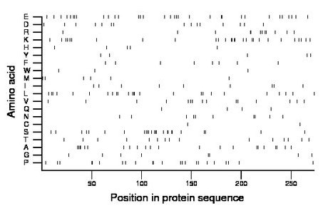 amino acid map