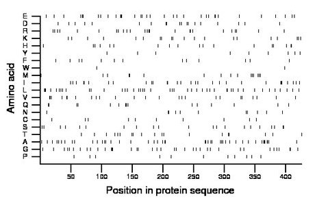 amino acid map