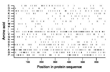 amino acid map