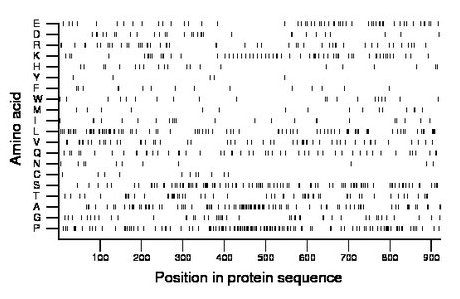 amino acid map