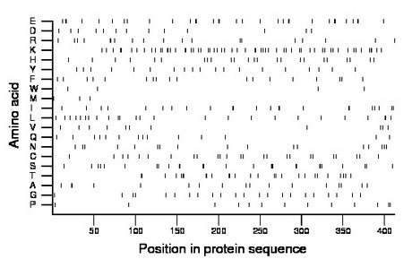 amino acid map