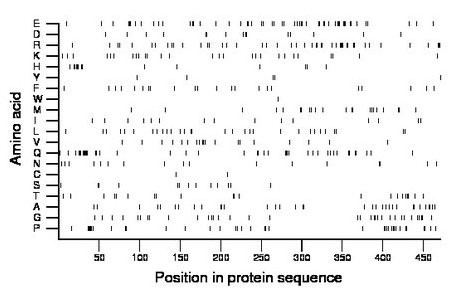 amino acid map