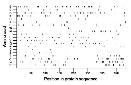 amino acid map