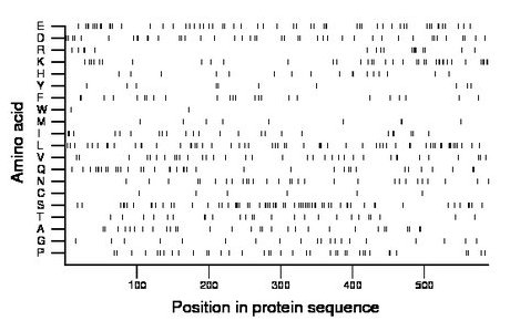 amino acid map