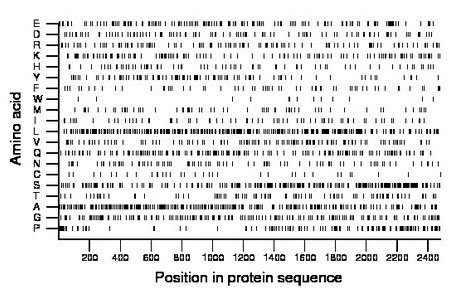 amino acid map