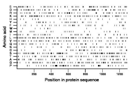 amino acid map