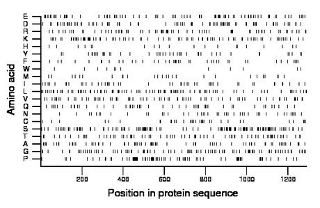 amino acid map