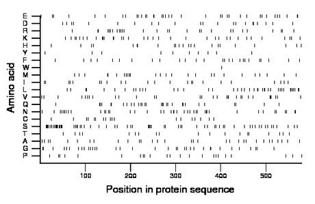 amino acid map