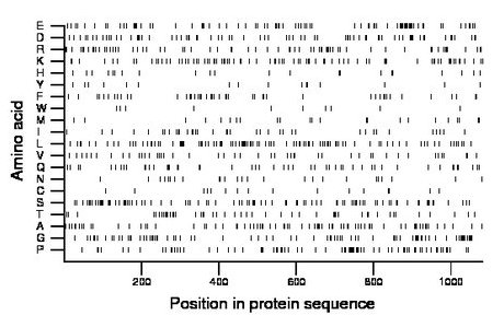 amino acid map