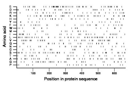 amino acid map