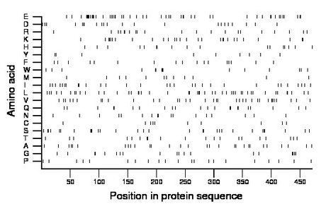 amino acid map