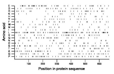 amino acid map