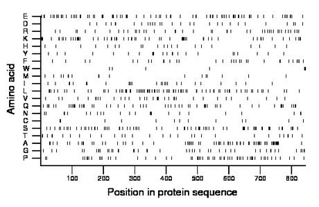 amino acid map