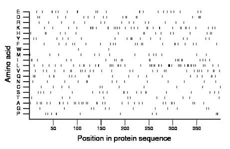 amino acid map